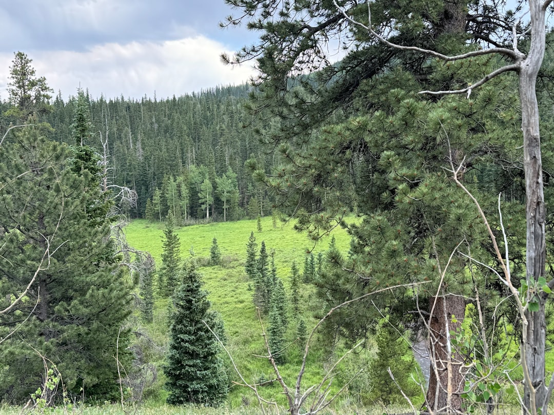 Legal aspects of land sale