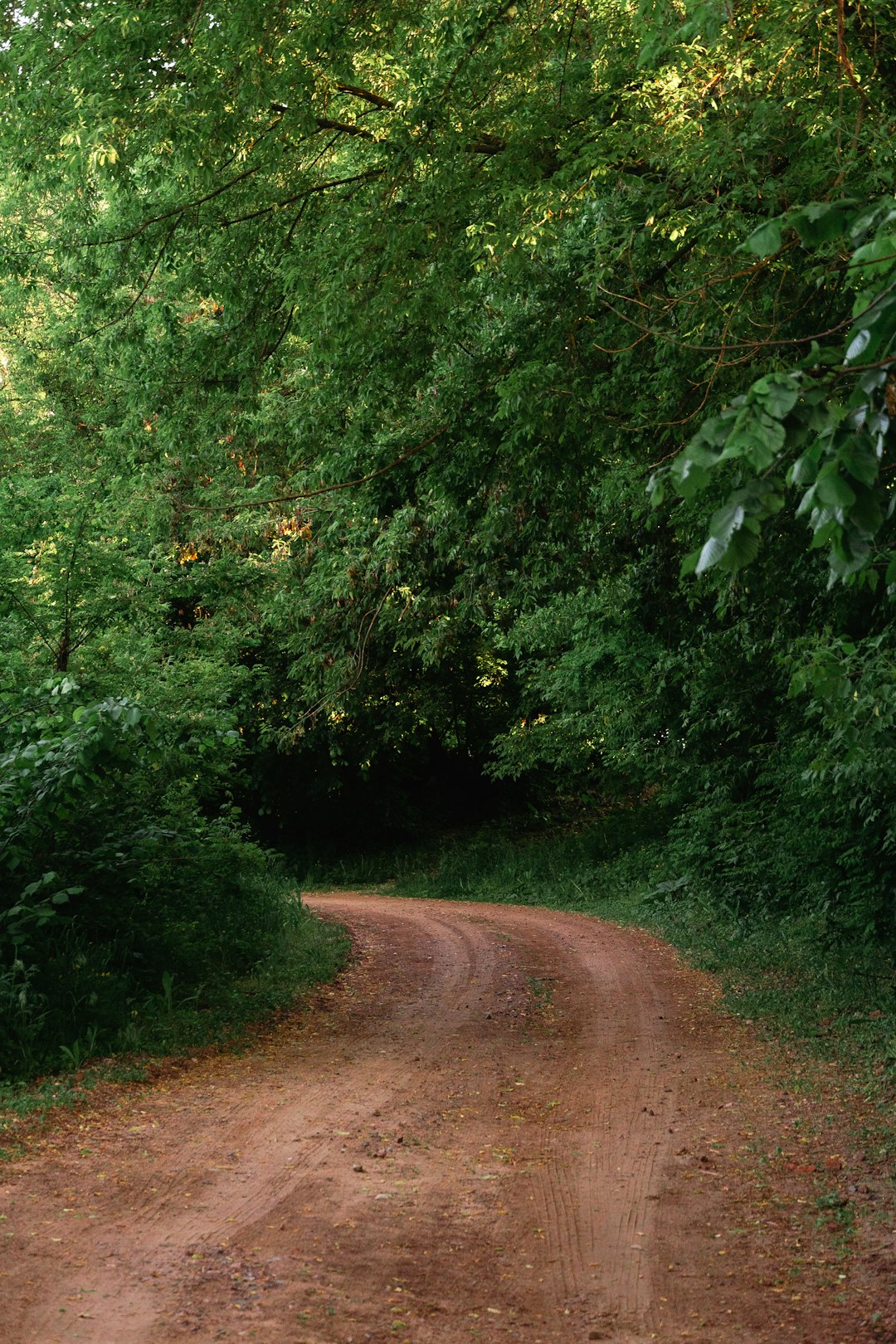 Advertising And Marketing Your Farmland Effectively