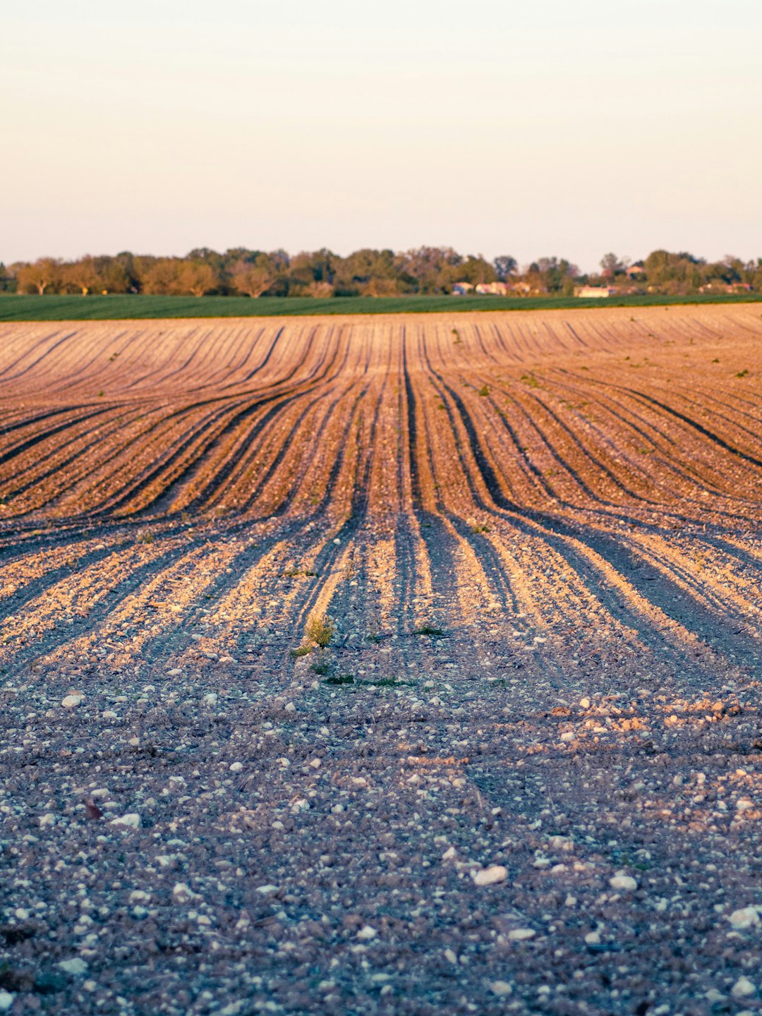 Marketing Your Farmland Successfully