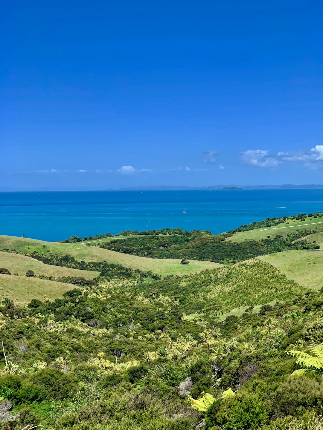 Preparing Your Land up for sale