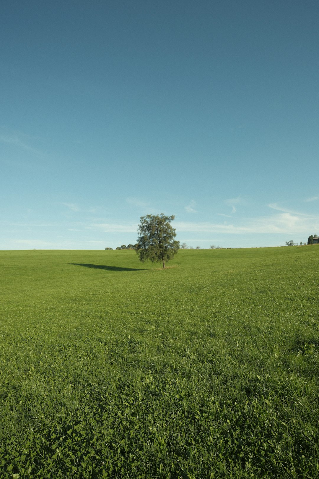 Preparing Your Land available for sale