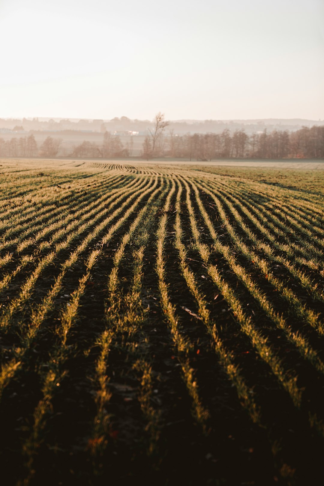 Preparing Your Land available