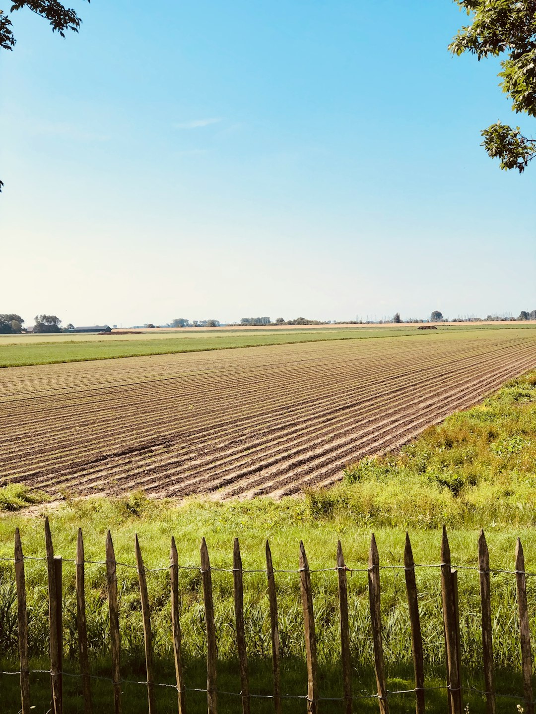 What is the market value of Nebraska land for a money sale?