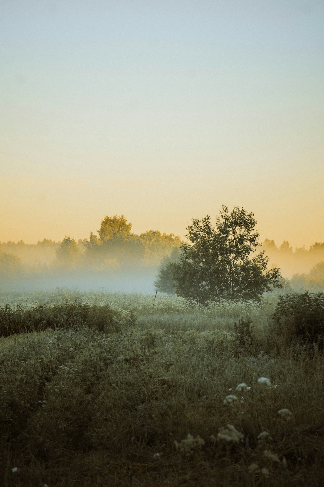 Future Potential Customers: Investing in Nebraska's Land