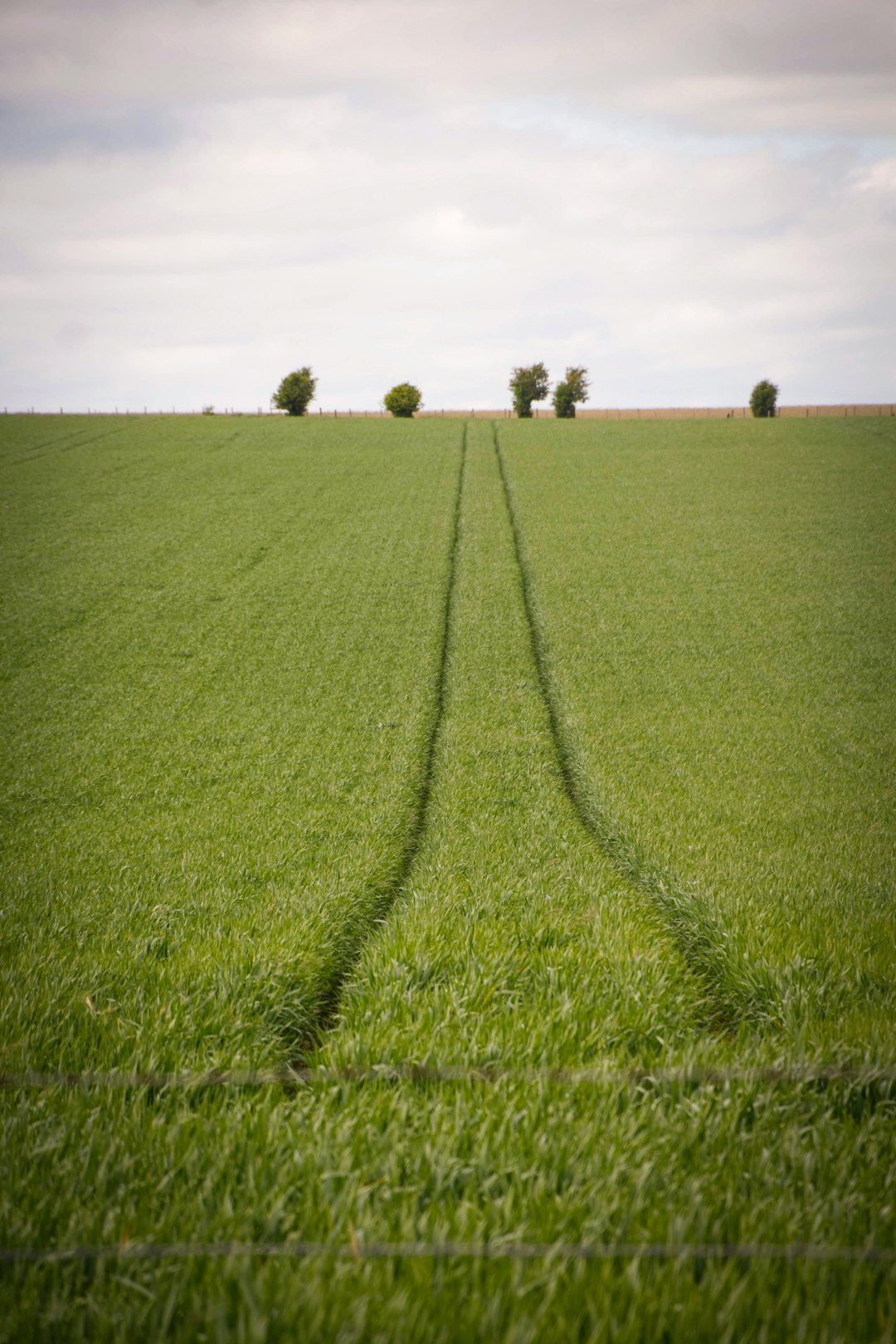 Future Prospects: Purchasing Nebraska's Land