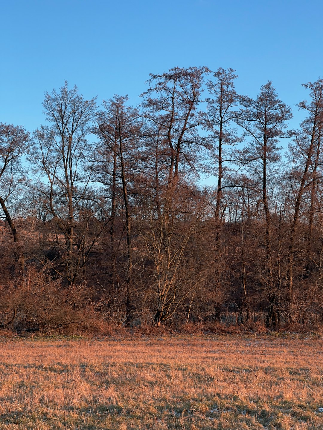 Recognizing the Lawful Landscape of Louisiana Land