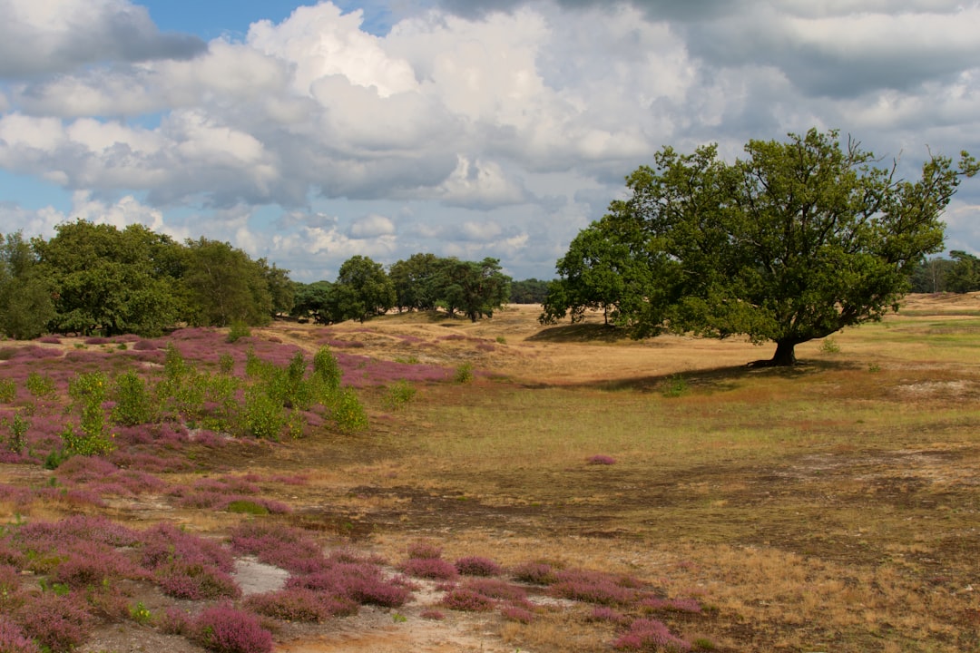 What is the best way to find buyers interested in purchasing Louisiana land for cash?