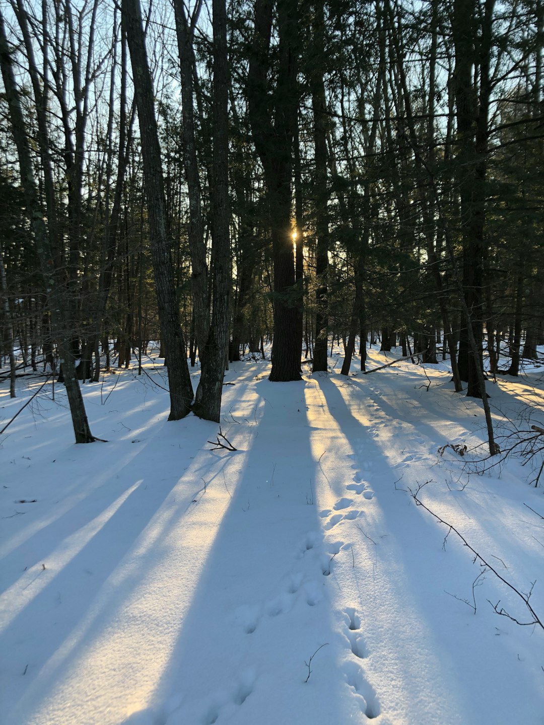 How to Market Your Vermont Land Promptly for Cash