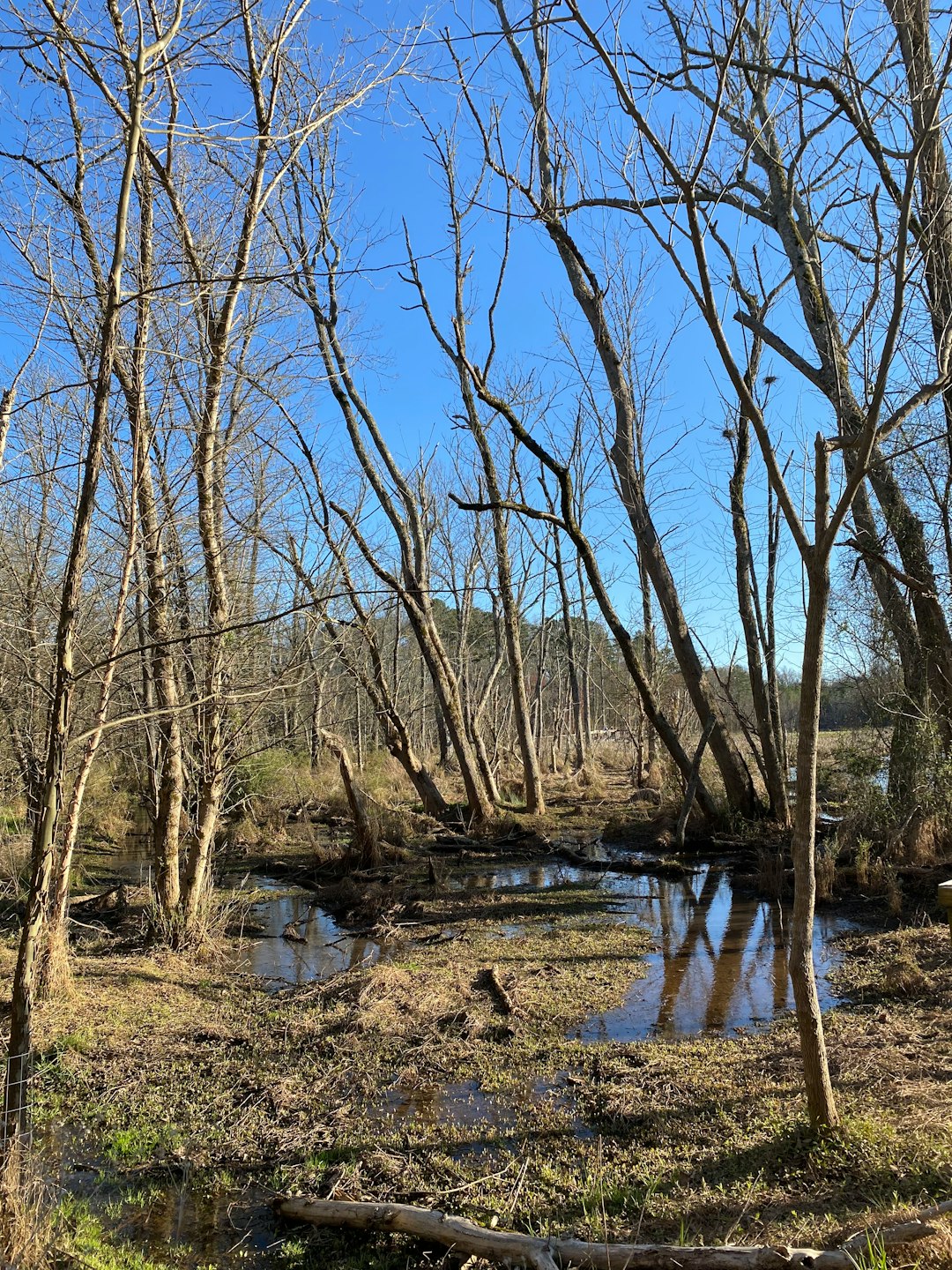 How to Market Your Michigan Land to buy Successfully