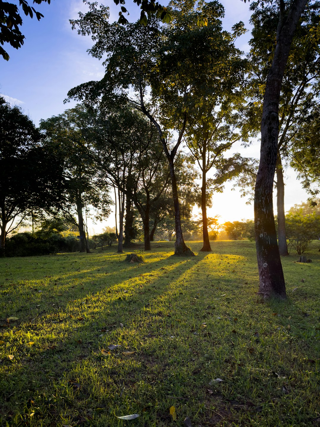 How to Get Leading Buck When Marketing Minnesota Land for Money