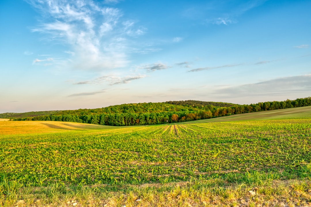 How to Unlock Hidden Profits: The Secret to Selling Your Wisconsin Land for Cash 