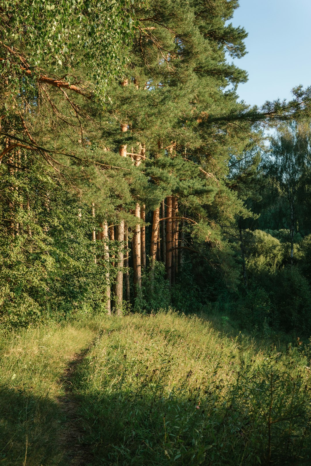 How to Make The Most Of Profit by Selling Vermont Land for Cash Money