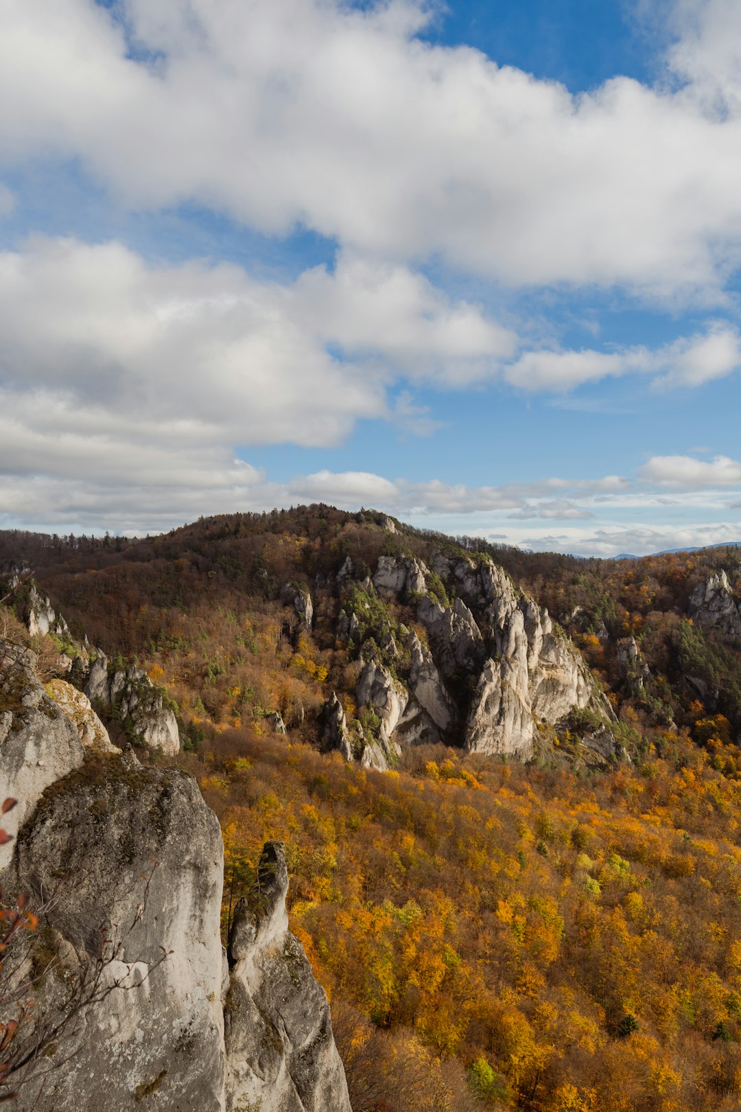Factors to consider when selling Montana land for cash money