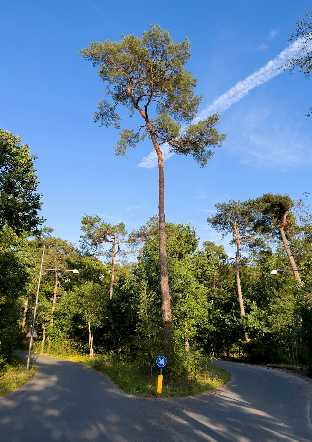 The process of shutting a cash sale for Virginia land