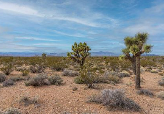 Sell desert land in Idaho