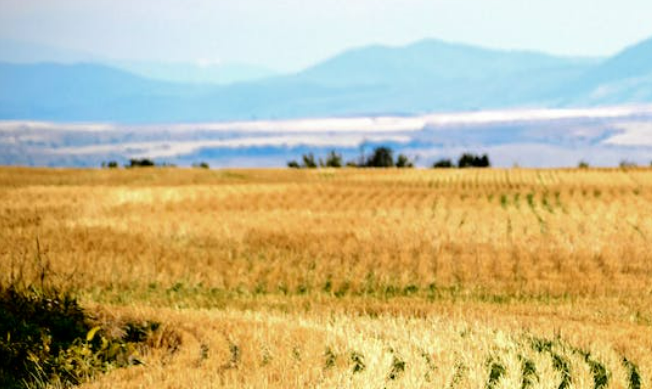 Idaho land for sustainable development