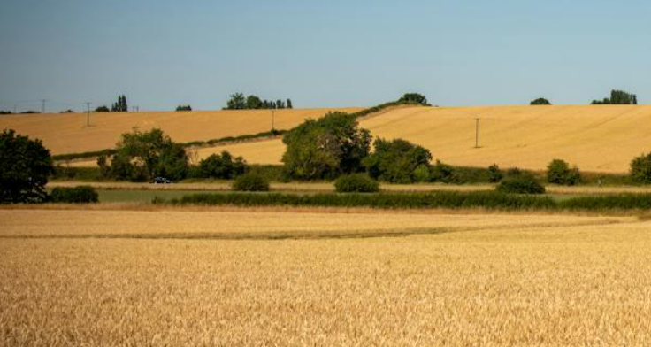 Idaho land for geothermal development