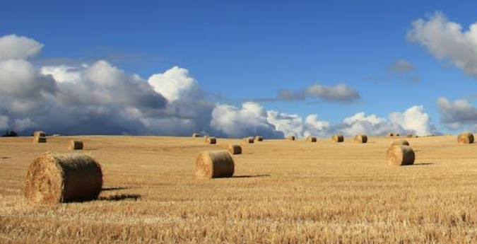 Idaho land for development