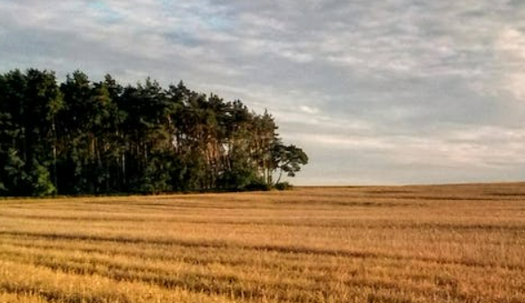 Idaho land for homesteading