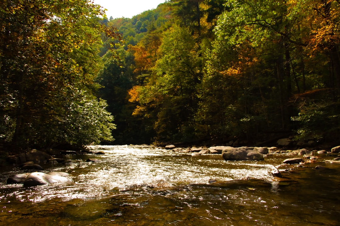 Sell land in West Virginia