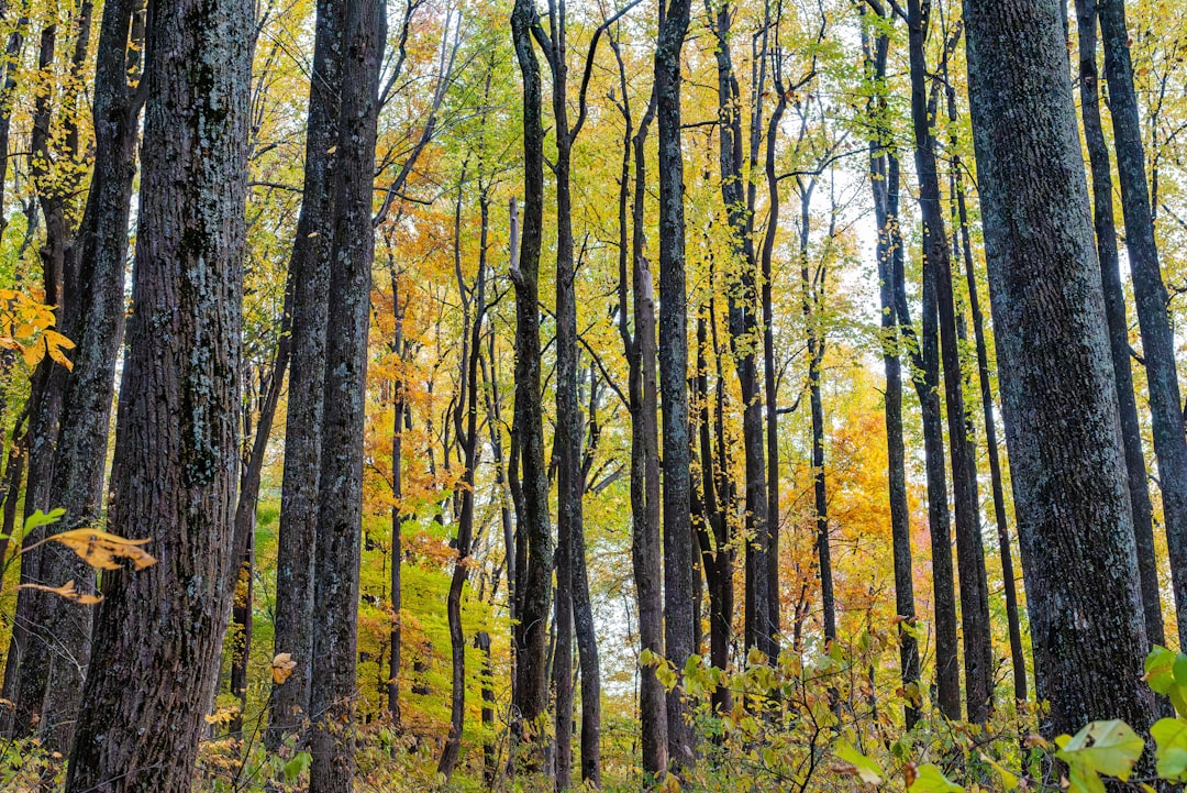 Sell land in Wisconsin