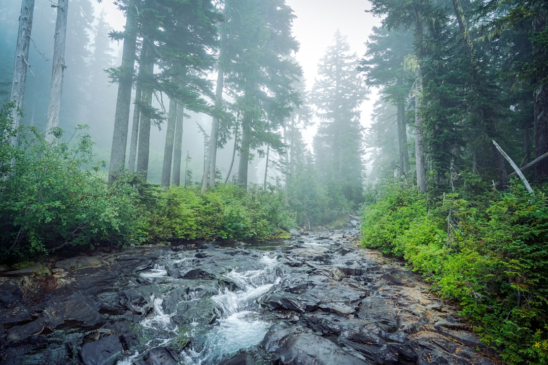 Wisconsin land buyer