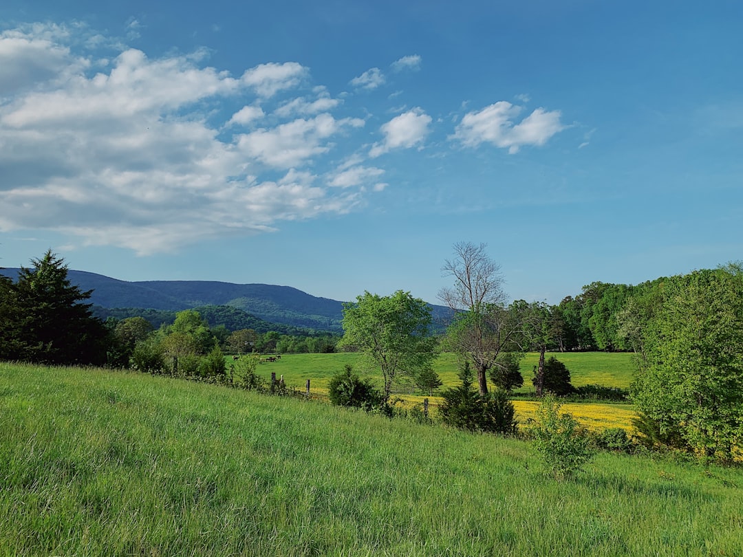 Cash for lakefront land in Wisconsin