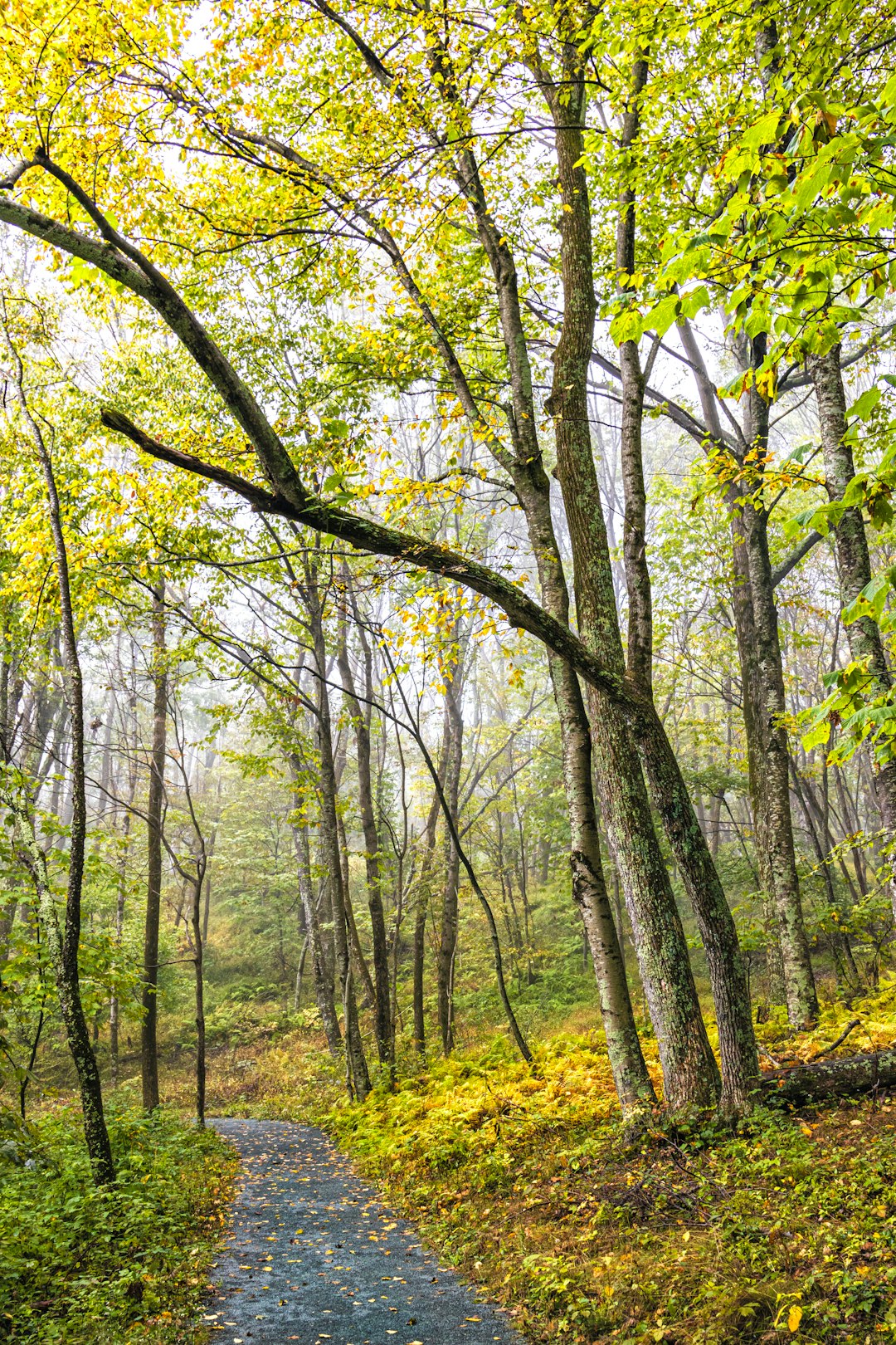 Selling agricultural land in Wisconsin